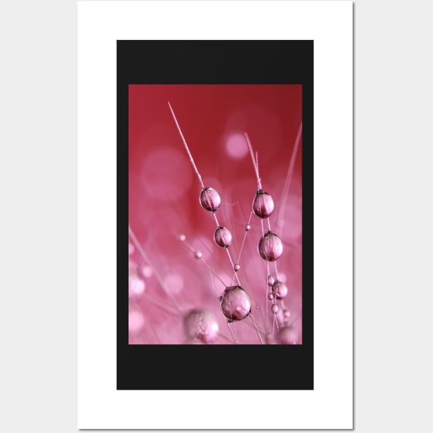 Claret Cactus Drops Wall Art by SharonJ